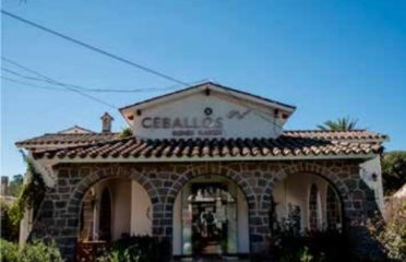 Ceballos Bienes Raices